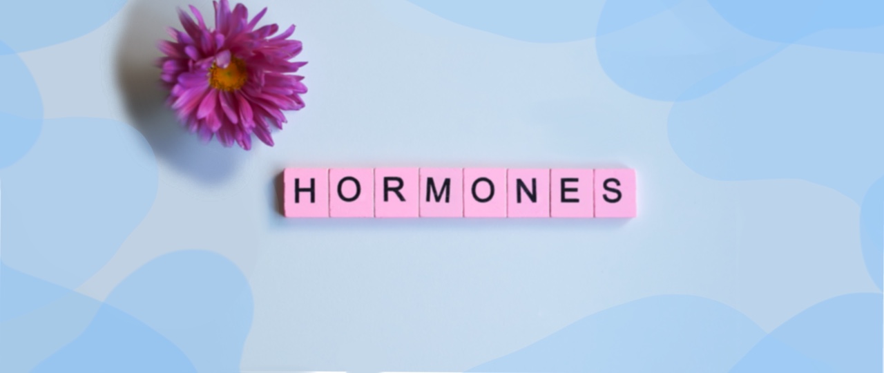 siklus menstruasi hormon 