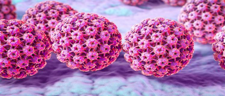 Fakta HPV, Si Pemicu Kanker Serviks