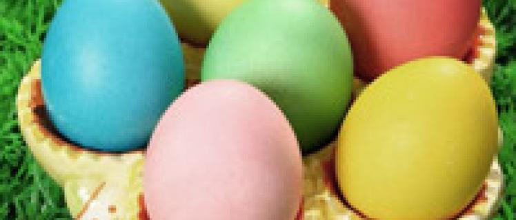 7 Fakta Tentang Sel Telur