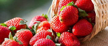 Nutrisi Tepat Bikin Semangat