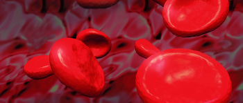 Tekstur Darah Menstruasi