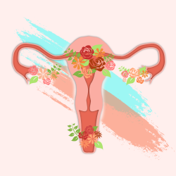 menstruasi img facts slider
